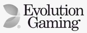 evolution game provider