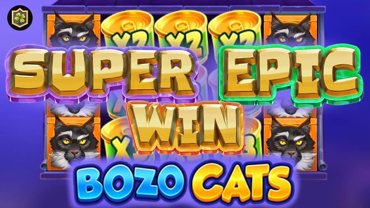 Bozo Cats Slot Game Playson Provider Review - UAE Casinos - Emirates Casino 