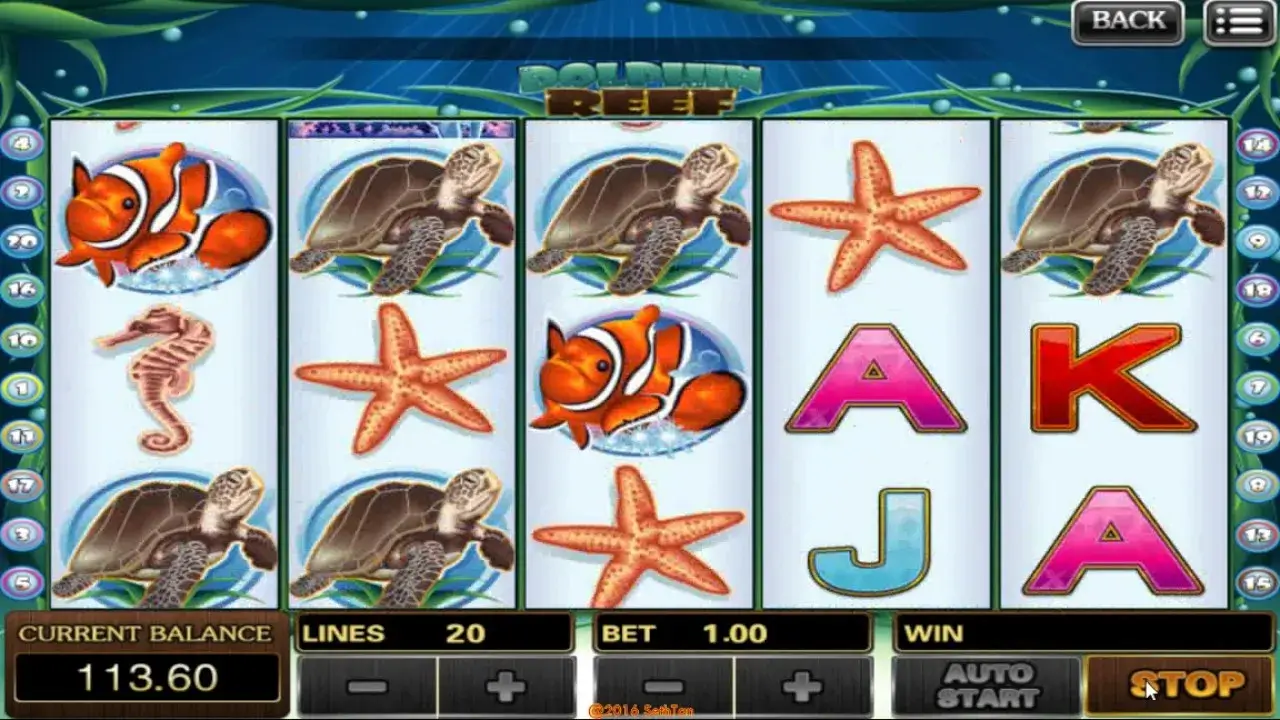 Dolphin Reef Playtech Review - UAE Casinos - Emirates Casino 