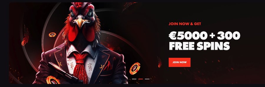 Rooster.bet Casino Review - UAE Casinos - Emirates Casino Review 