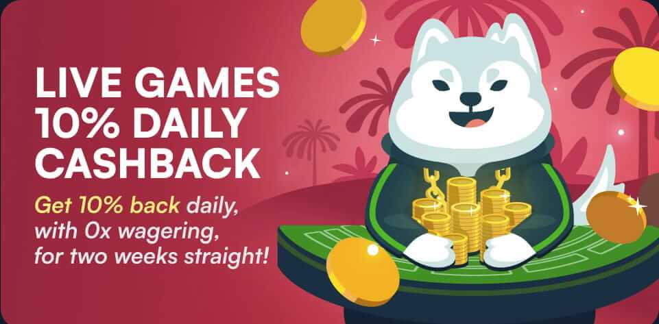 Live Cashback offer – 10% on live casino games at wild.io