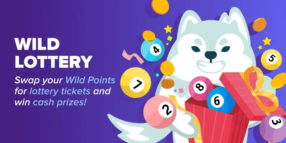 wild lottery at wild.io