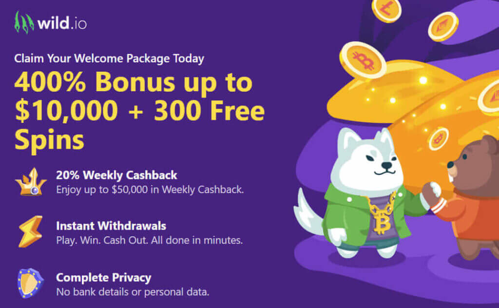 Welcome Offers and Promos welcome Bonus at Wild.io