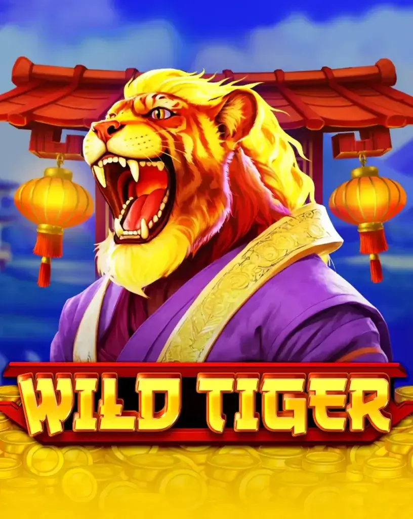Bgaming casino game provider review UAE casinos Wild tiger game review