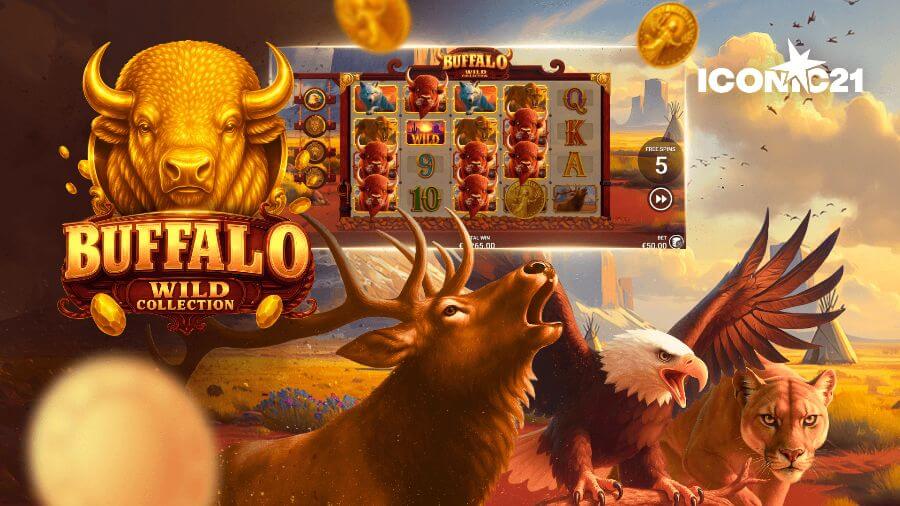 Buffalo Wild Collection banner